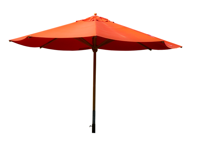 executive-travel-protection-640x480-74535832.png