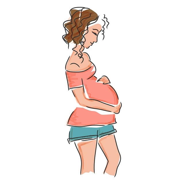 Navigating Legal Support for Successful Surrogacy Arrangements