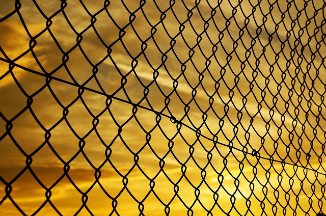 International Protection Services: Securing Global Officials Safeguards
