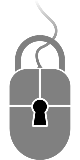 Reinforce Security: Electronic Locks for Ultimate Break-In Prevention