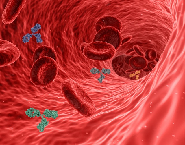 hydration-therapy-for-immunity-640x480-28153239.jpeg