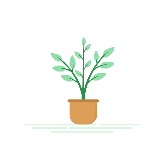 indoor-plant-arrangement-640x480-77084176.png