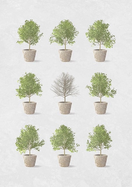 interior-plant-design-640x480-82200630.jpeg