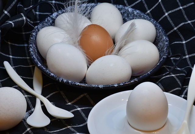 Navigating Legalities: Donor Eggs & IVF Success Rates