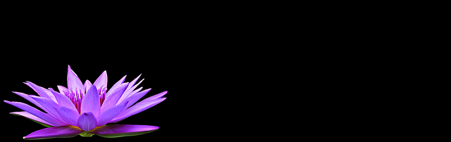legal-aspects-of-single-parent-surrogacy-640x480-70147623.png