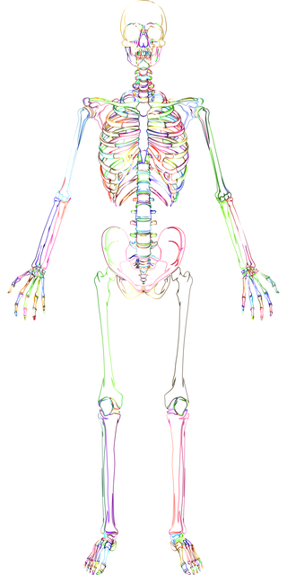 medical-imaging-for-nervous-system-640x480-79389040.png