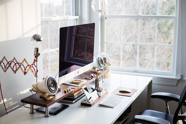 Elevate Spaces with Bespoke Corporate Plant Decor Trends