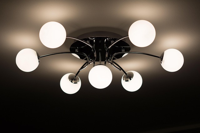 modern-plant-interiors-640x480-89211816.jpeg