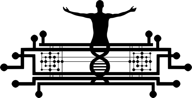 nad-therapy-for-dna-repair-640x480-13213946.png