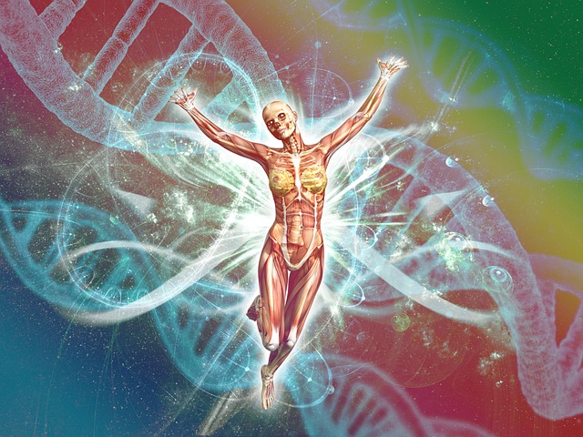 nad-therapy-for-dna-repair-640x480-72915639.jpeg