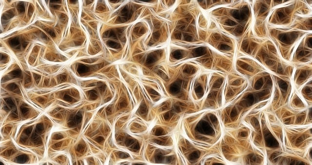 nervous-system-ct-scan-640x480-49190737.jpeg