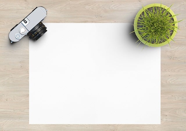 Elevate Your Office with Seamless Corporate Plant Decor Integration