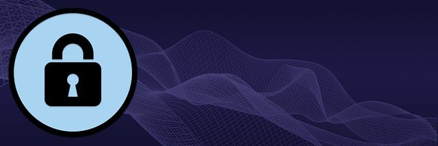 Fortifying Perimeter Surveillance: Innovative CCTV Cybersecurity
