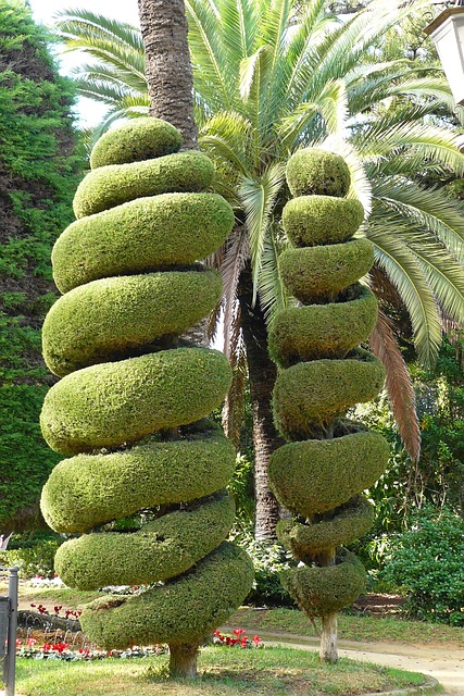 routine-plant-watering-and-pruning-640x480-2357787.jpeg