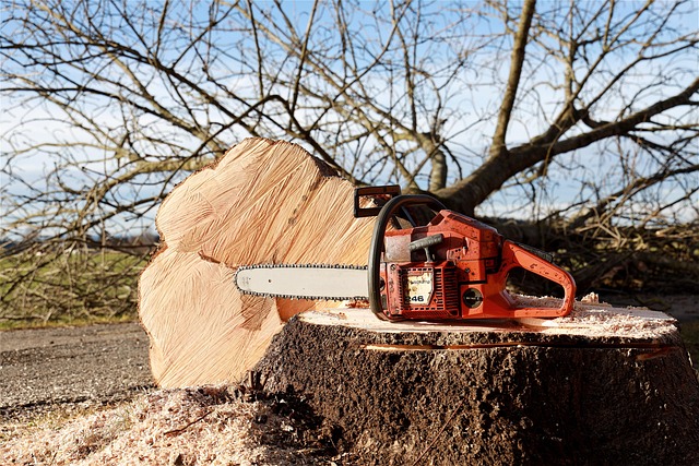 Optimizing Corporate Plant Maintenance: Soil Health & Nutrient Secrets