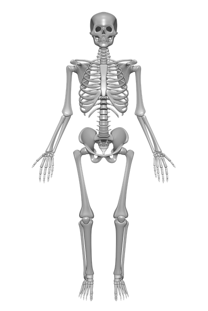 spinal-cord-mri-640x480-72291117.png